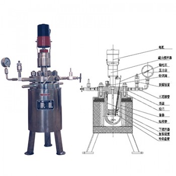 GSA型反應(yīng)釜 GSA型反應(yīng)釜